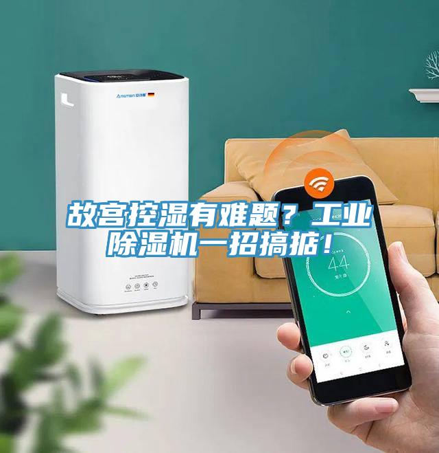 故宮控濕有難題？工業(yè)除濕機一招搞掂！