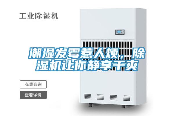 潮濕發(fā)霉惹人煩，除濕機(jī)讓你靜享干爽