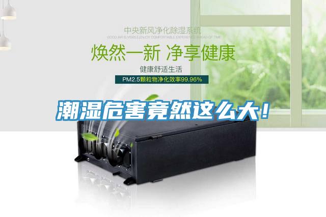潮濕危害竟然這么大！