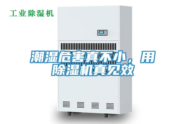 潮濕危害真不小，用除濕機(jī)真見(jiàn)效