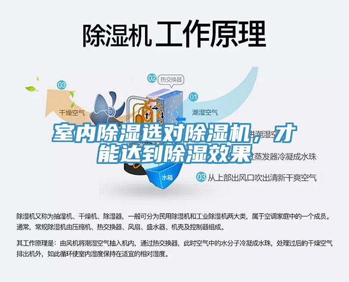 室內(nèi)除濕選對(duì)除濕機(jī)，才能達(dá)到除濕效果