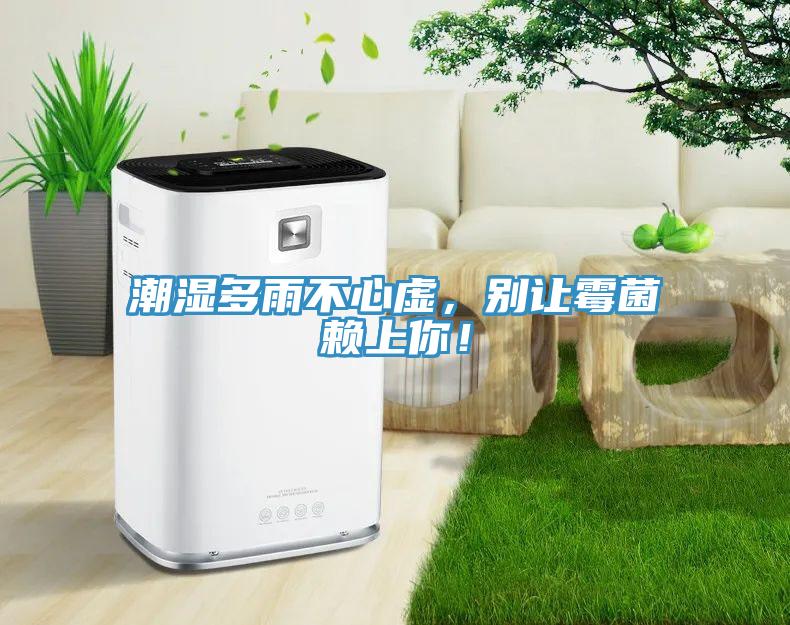 潮濕多雨不心虛，別讓霉菌賴上你！