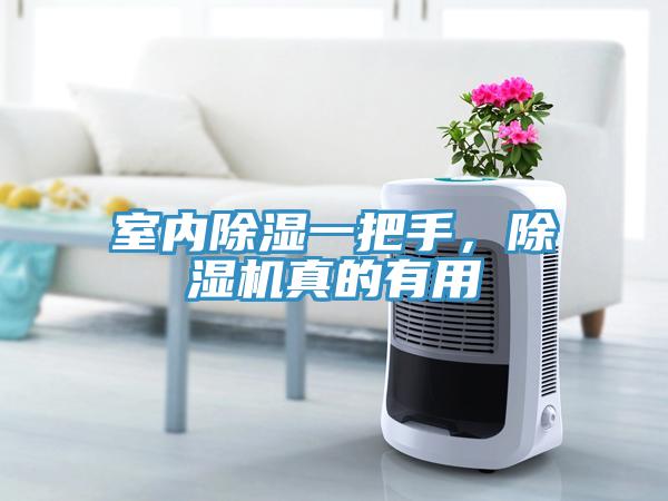 室內(nèi)除濕一把手，除濕機(jī)真的有用