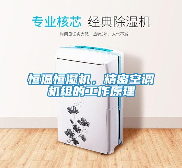 恒溫恒濕機(jī)，精密空調(diào)機(jī)組的工作原理