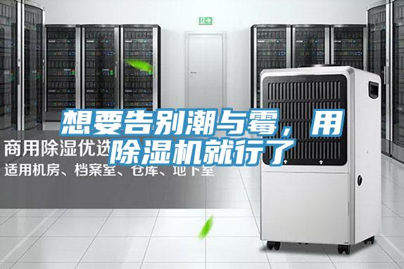 想要告別潮與霉，用除濕機就行了