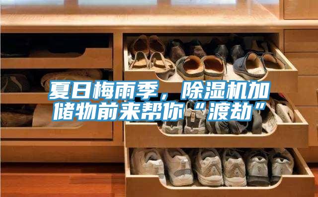 夏日梅雨季，除濕機(jī)加儲(chǔ)物前來(lái)幫你“渡劫”