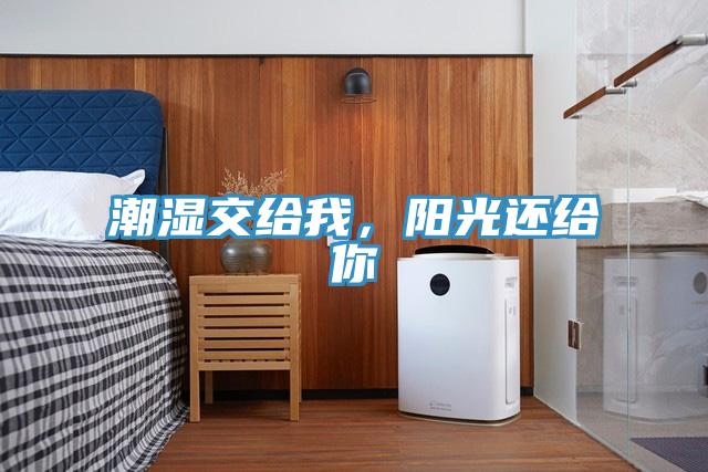 潮濕交給我，陽(yáng)光還給你