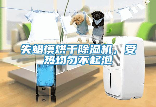 失蠟?zāi)：娓沙凉駲C(jī)，受熱均勻不起泡
