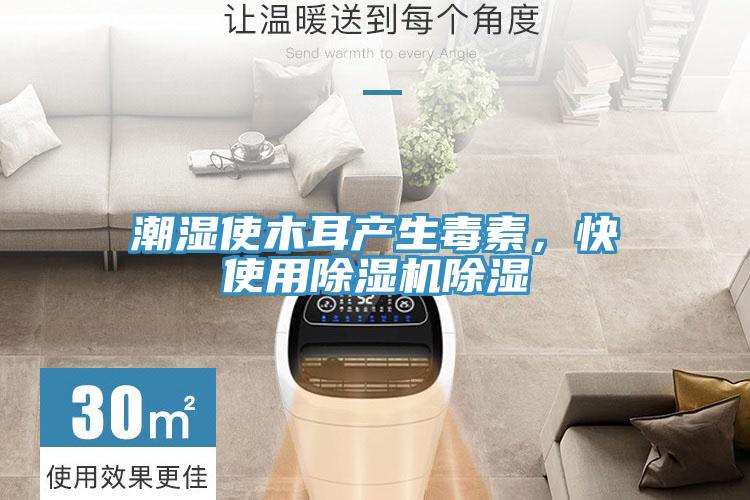 潮濕使木耳產(chǎn)生毒素，快使用除濕機(jī)除濕