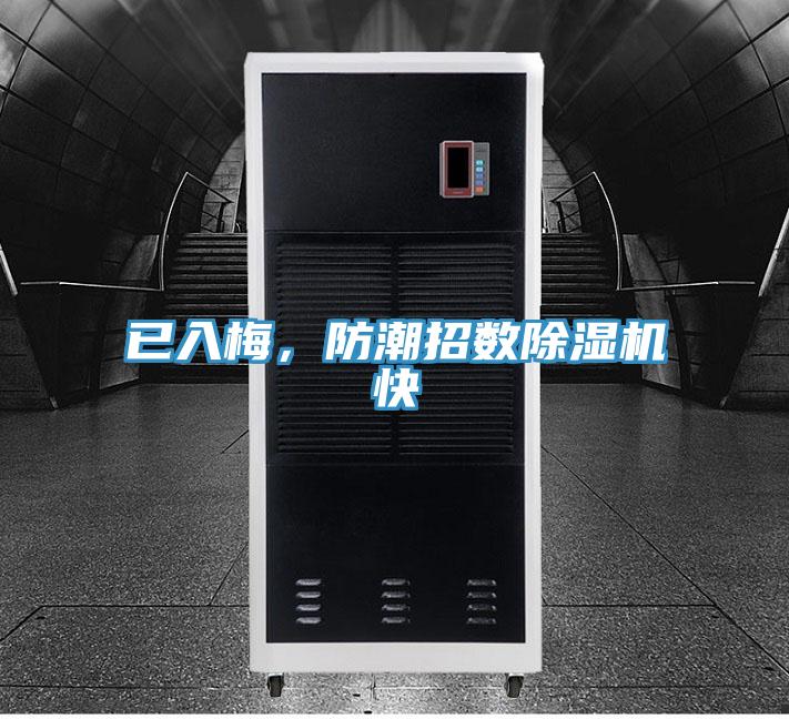 已入梅，防潮招數(shù)除濕機快