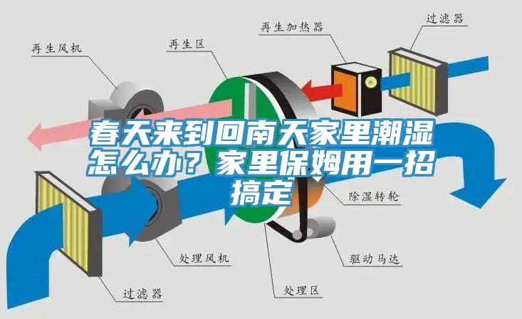春天來到回南天家里潮濕怎么辦？家里保姆用一招搞定
