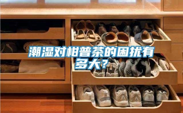 潮濕對柑普茶的困擾有多大？