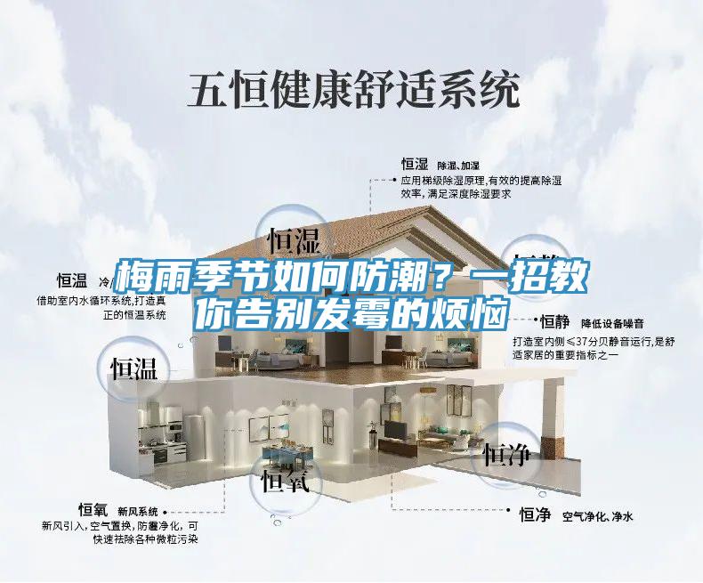 梅雨季節(jié)如何防潮？一招教你告別發(fā)霉的煩惱