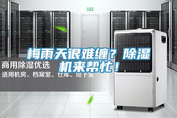 梅雨天很難纏？除濕機來幫忙！