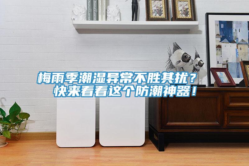 梅雨季潮濕異常不勝其擾？ 快來(lái)看看這個(gè)防潮神器！