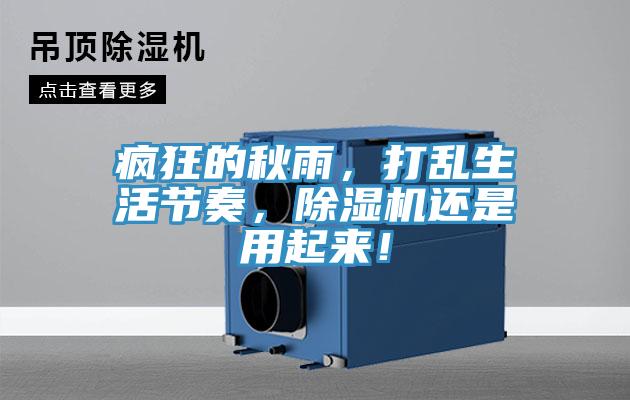 瘋狂的秋雨，打亂生活節(jié)奏，除濕機還是用起來！