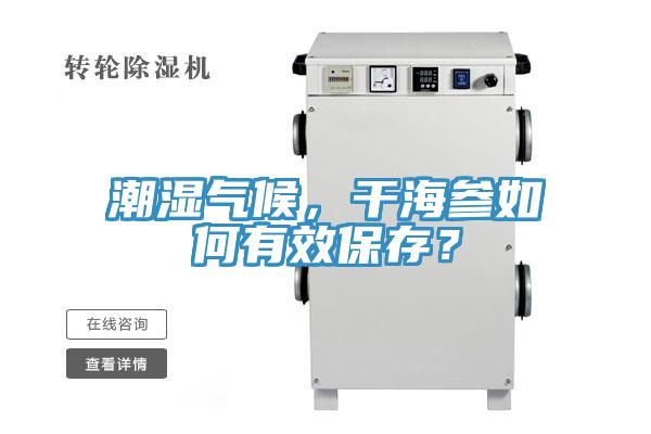 潮濕氣候，干海參如何有效保存？