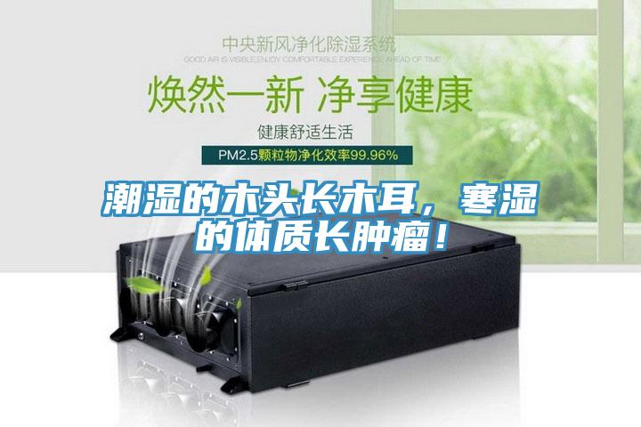 潮濕的木頭長木耳，寒濕的體質(zhì)長腫瘤！