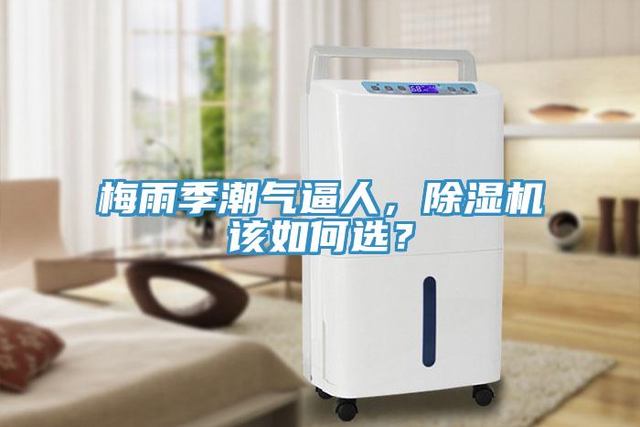 梅雨季潮氣逼人，除濕機該如何選？