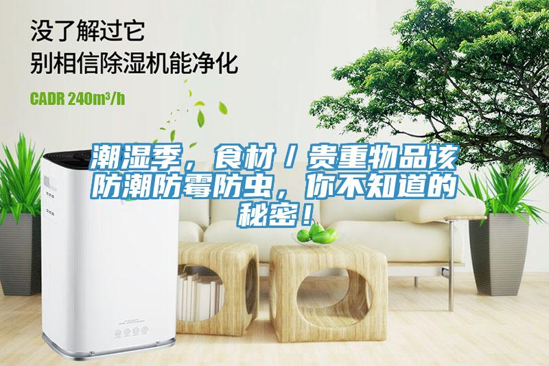 潮濕季，食材／貴重物品該防潮防霉防蟲，你不知道的秘密！