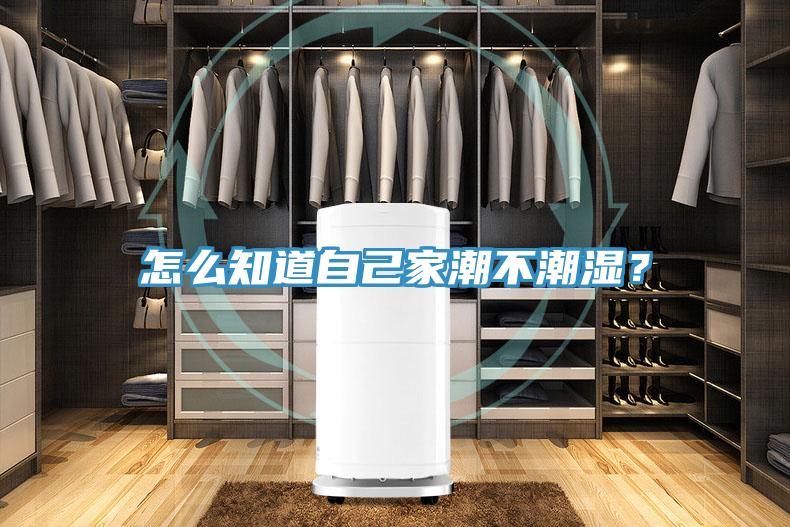 怎么知道自己家潮不潮濕？