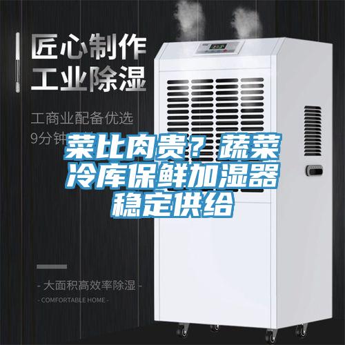 菜比肉貴？蔬菜冷庫(kù)保鮮加濕器穩(wěn)定供給