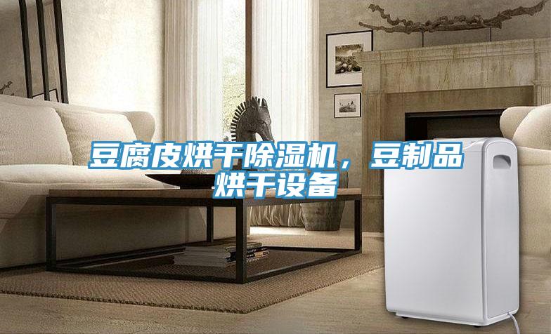 豆腐皮烘干除濕機，豆制品烘干設備