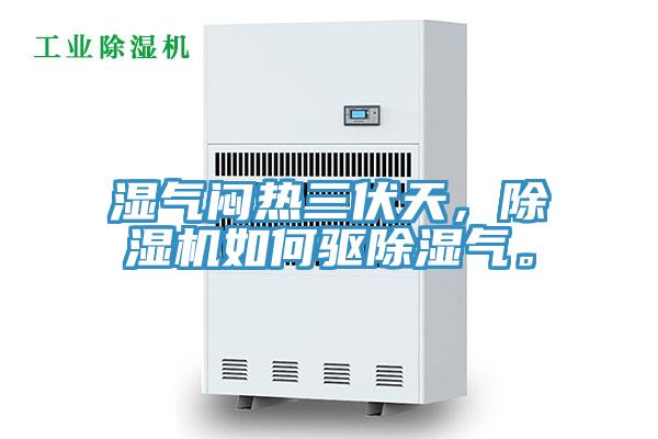 濕氣悶熱三伏天，除濕機如何驅(qū)除濕氣。