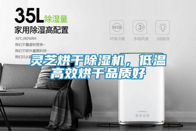 靈芝烘干除濕機(jī)，低溫高效烘干品質(zhì)好