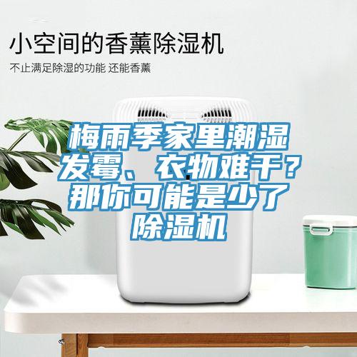 梅雨季家里潮濕發(fā)霉、衣物難干？那你可能是少了除濕機(jī)