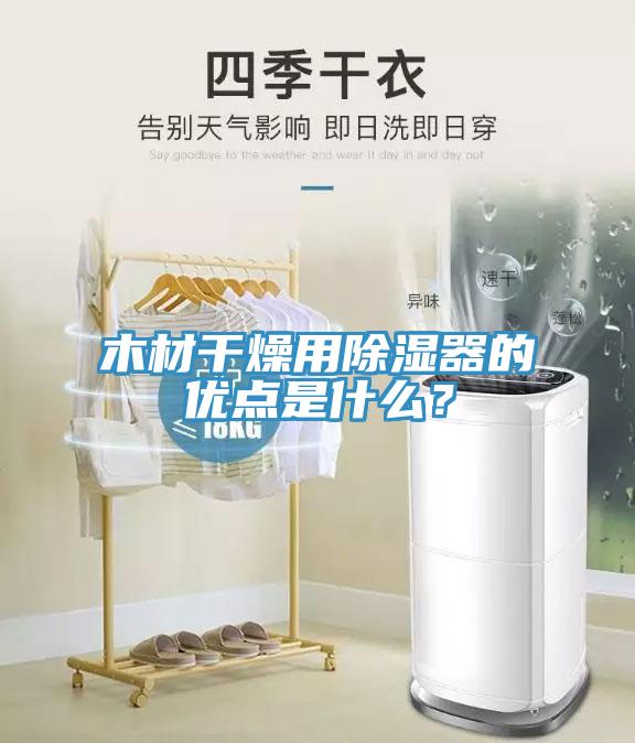 木材干燥用除濕器的優(yōu)點是什么？