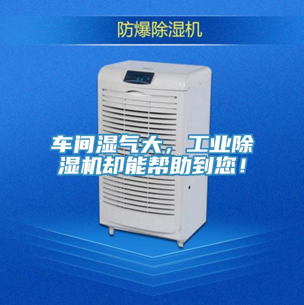 車間濕氣大，工業(yè)除濕機(jī)卻能幫助到您！