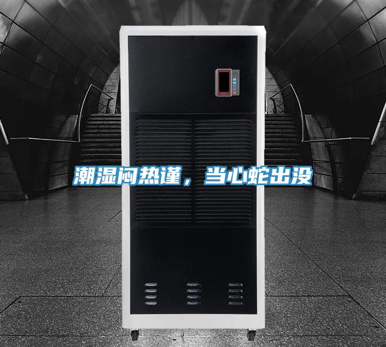 潮濕悶熱謹(jǐn)，當(dāng)心蛇出沒(méi)
