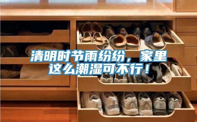 清明時(shí)節(jié)雨紛紛，家里這么潮濕可不行！
