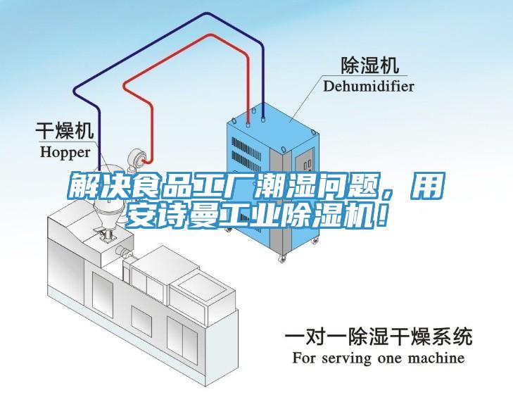 解決食品工廠潮濕問題，用安詩曼工業(yè)除濕機！