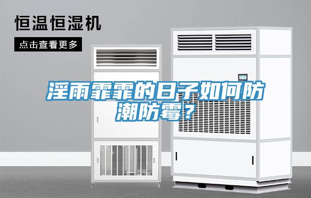 淫雨霏霏的日子如何防潮防霉？