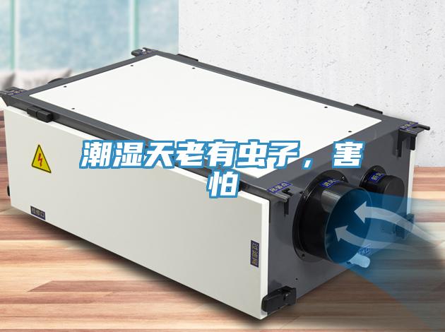 潮濕天老有蟲子，害怕