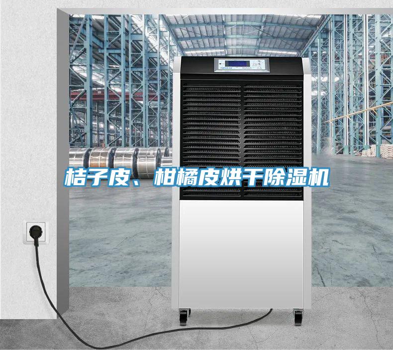 桔子皮、柑橘皮烘干除濕機(jī)