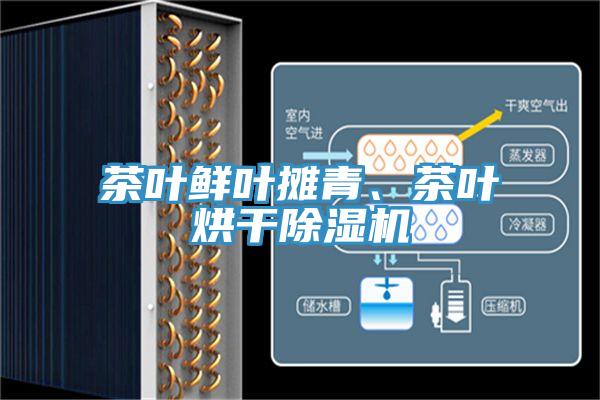茶葉鮮葉攤青、茶葉烘干除濕機(jī)