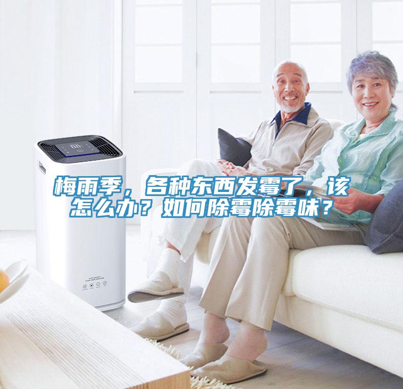 梅雨季，各種東西發(fā)霉了，該怎么辦？如何除霉除霉味？