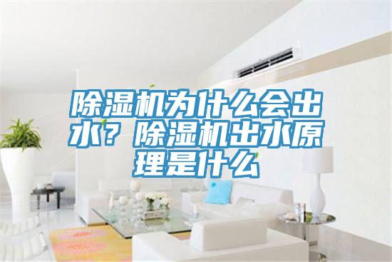 除濕機為什么會出水？除濕機出水原理是什么