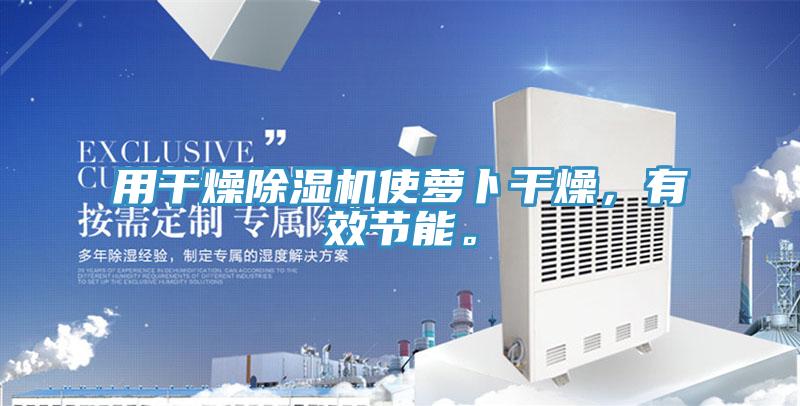 用干燥除濕機(jī)使蘿卜干燥，有效節(jié)能。