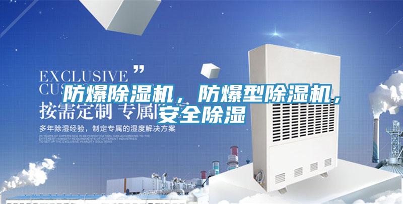 防爆除濕機(jī)，防爆型除濕機(jī)，安全除濕