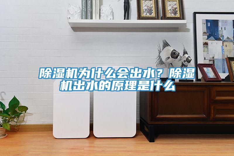 除濕機為什么會出水？除濕機出水的原理是什么