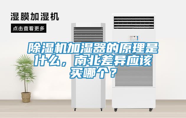 除濕機(jī)加濕器的原理是什么，南北差異應(yīng)該買哪個(gè)？