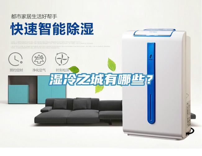 濕冷之城有哪些？