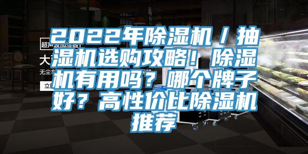 2022年除濕機(jī)／抽濕機(jī)選購攻略！除濕機(jī)有用嗎？哪個(gè)牌子好？高性價(jià)比除濕機(jī)推薦