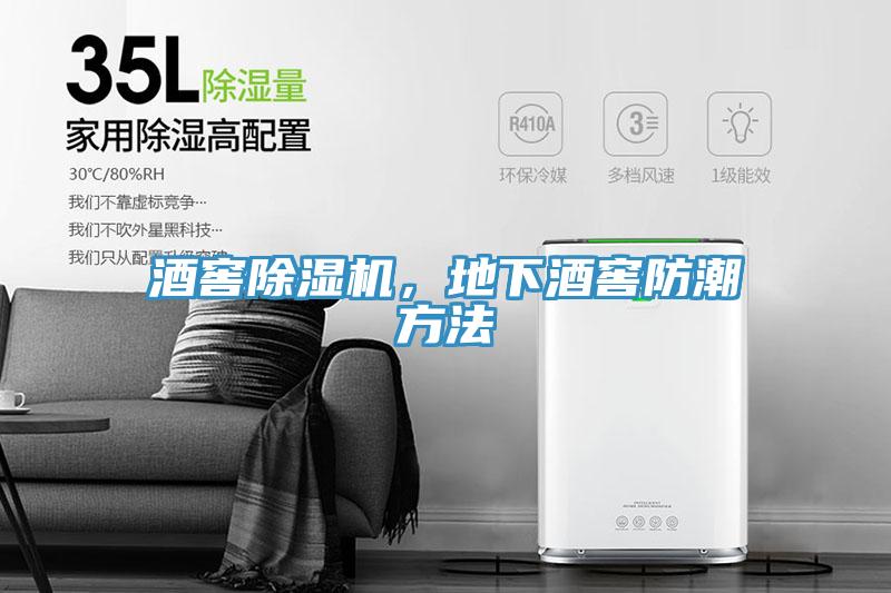 酒窖除濕機(jī)，地下酒窖防潮方法