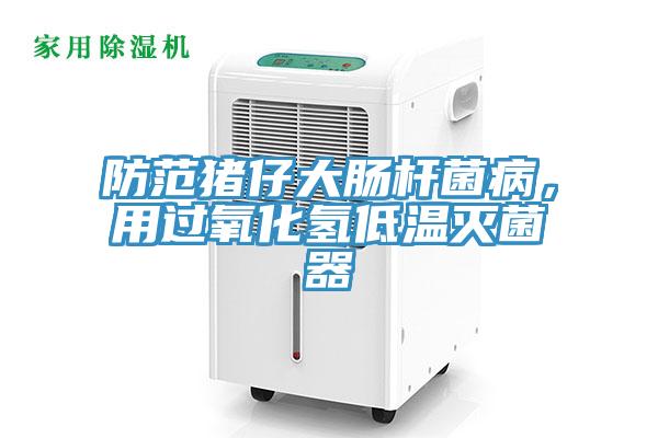 防范豬仔大腸桿菌病，用過氧化氫低溫滅菌器