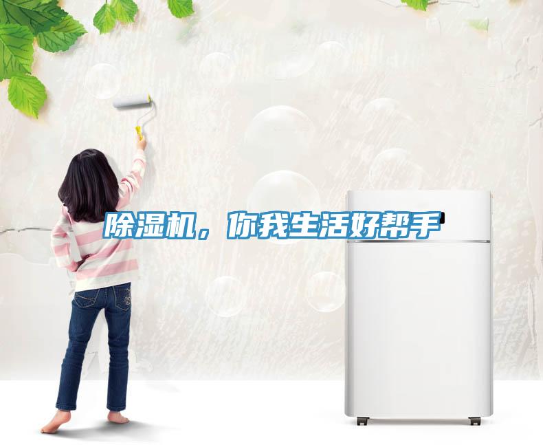 除濕機，你我生活好幫手